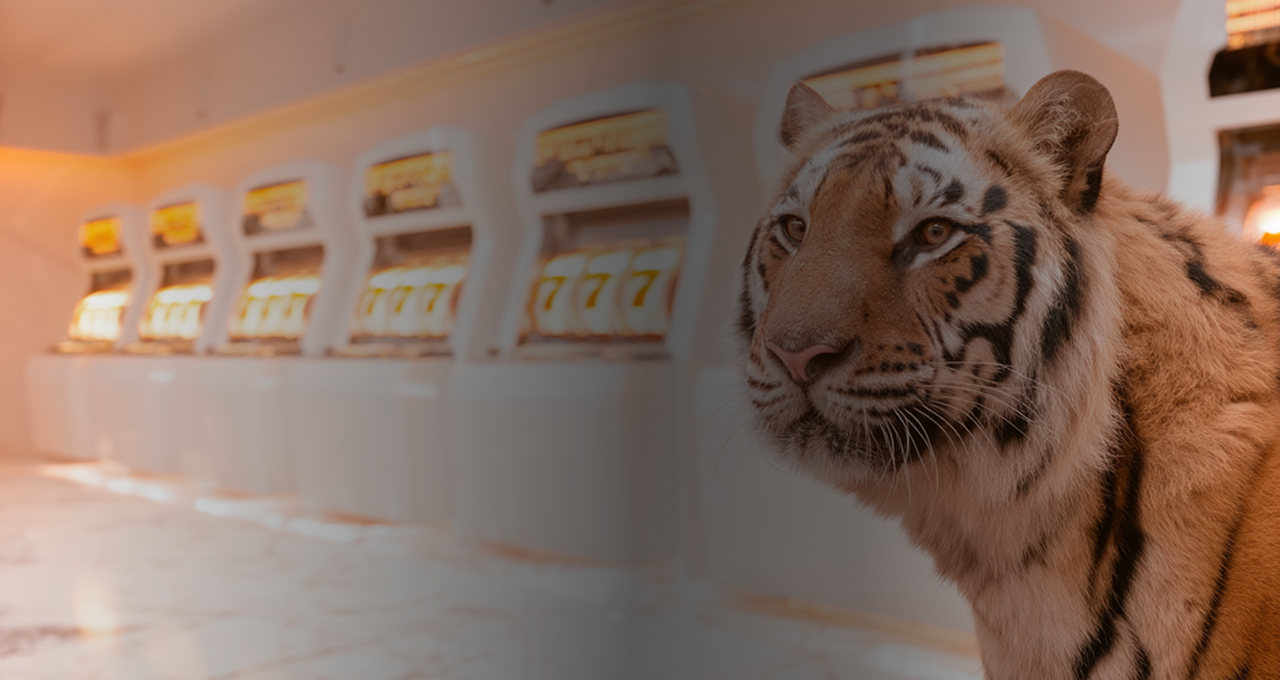 Happy Tiger Casino